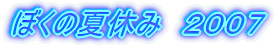 2007ڂ̉ċx